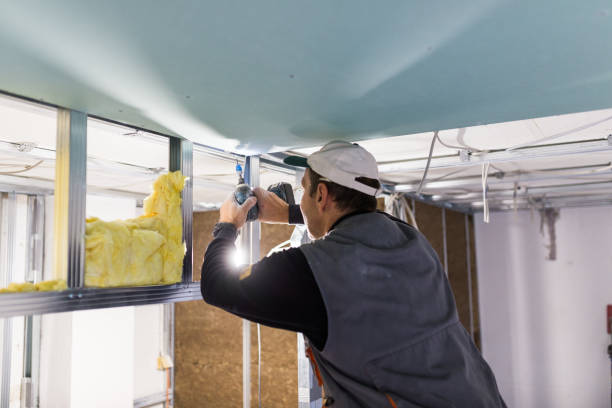 Types of Insulation We Offer in North Mankato, MN